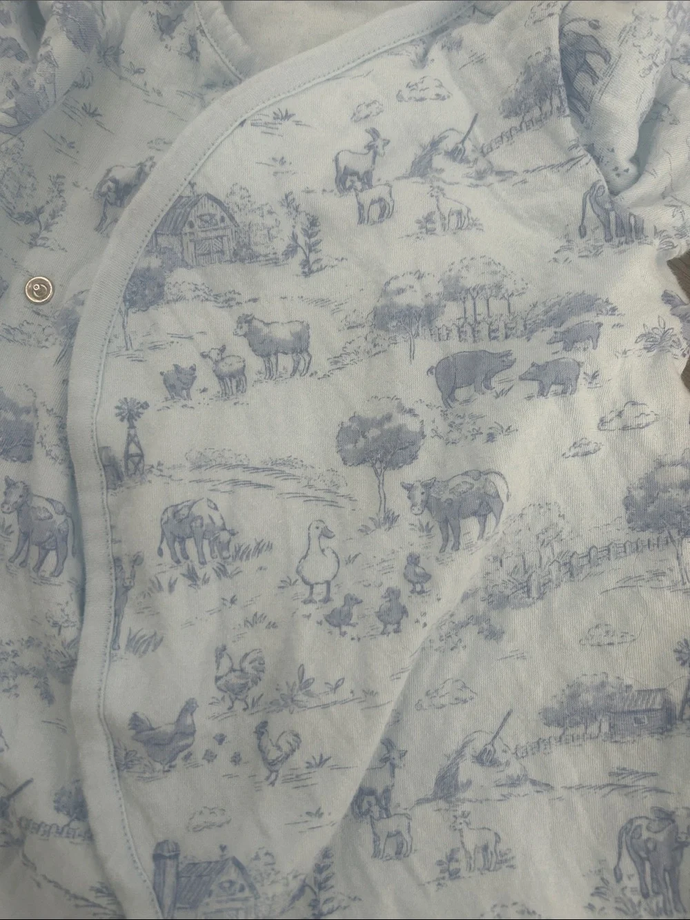 Janie and Jack Light Blue Animal Print Footie